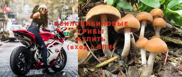 Альфа ПВП Нягань