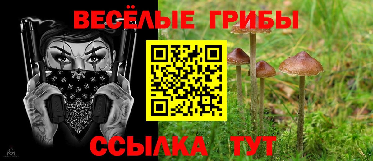 Тула  Галлюциногенные грибы Psilocybine cubensis  купить наркотики сайты  Вход с VPN 