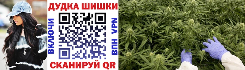 Бошки Шишки Amnesia Тула