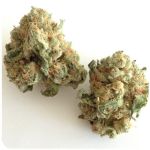 Шишки "White Widow"  (Белая вдова)  Гидропоника -  Бошка VHQ в Туле